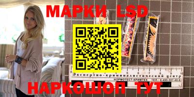 гашик Кулебаки