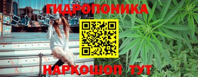 гашик Кулебаки