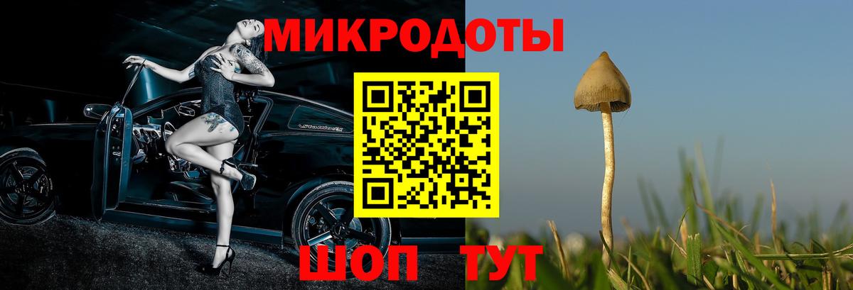 Галлюциногенные грибы прущие грибы  Вход с VPN  Галлюциногенные грибы Magic Shrooms  Кашира 
