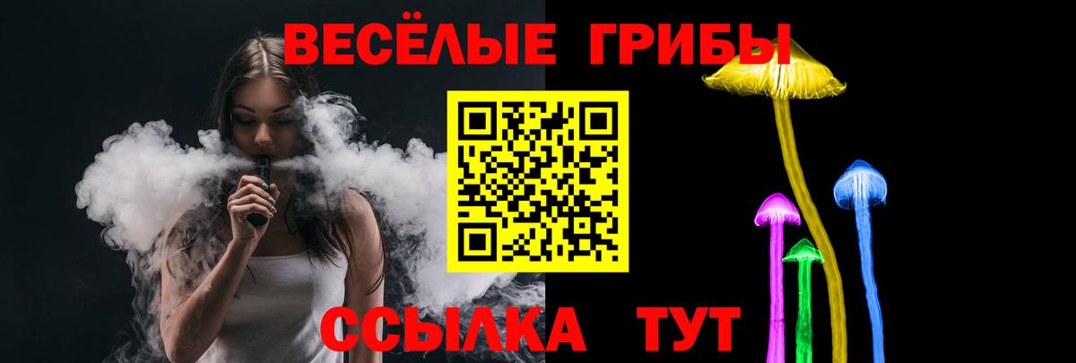 Псилоцибиновые грибы Кашира